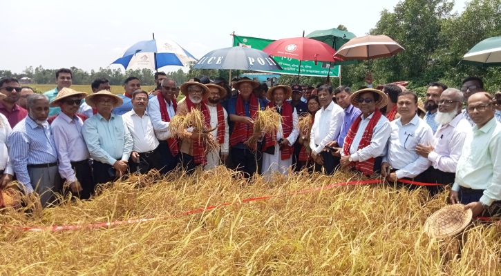 ধানের দালালরাও অর্থনীতির অংশ: কৃষিমন্ত্রী 